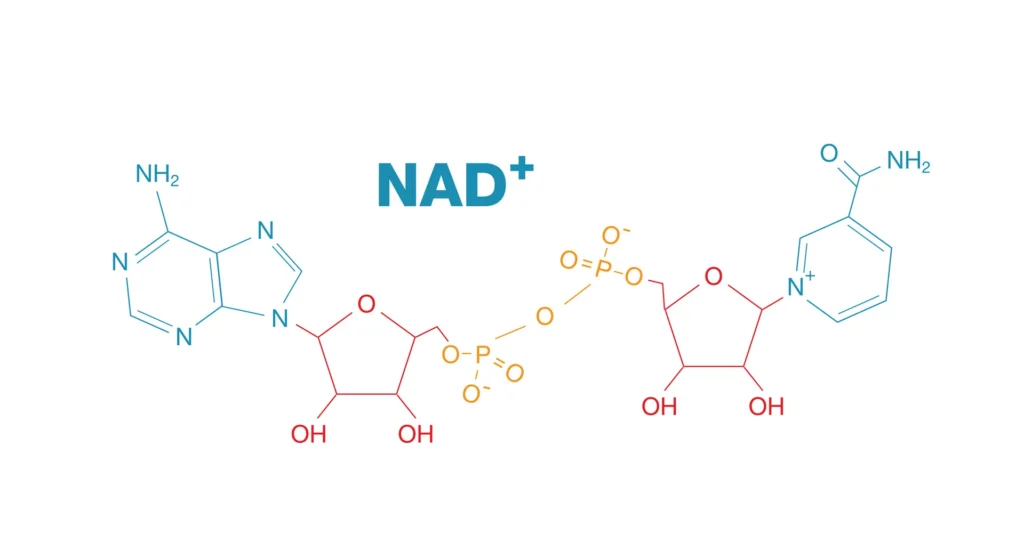 Chart comparing frequency of GI side effects in semaglutide vs placebo groups