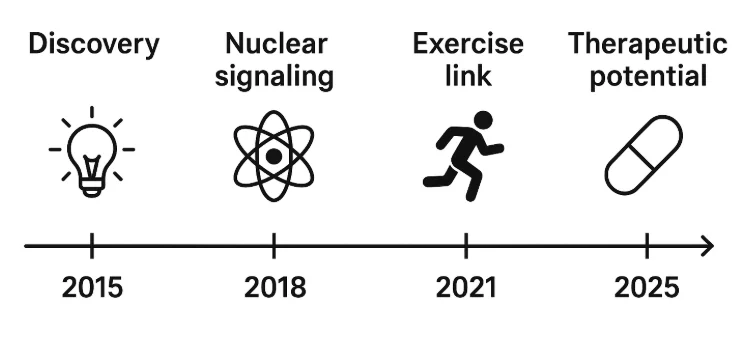 Timeline showing MOTS-C discoveries in metabolism, exercise, and aging research